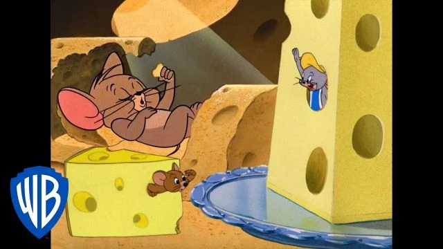 Tom & Jerry in italiano | Dov'Ã¨ il formaggio? | WB Kids