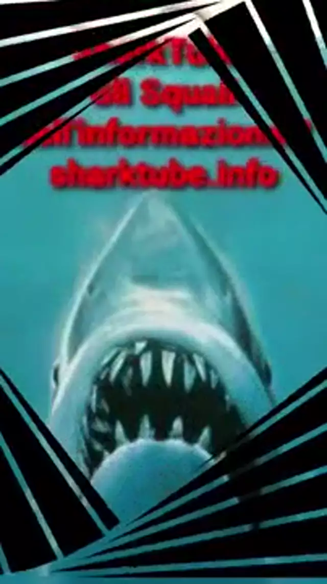 SharkTube gli Squali dell'informazione!!!