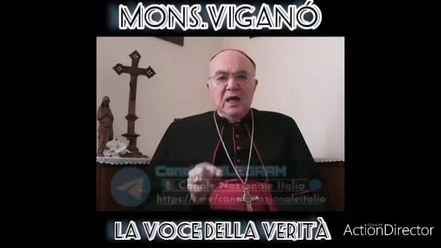 Immenso Monsignor ViganÃ²