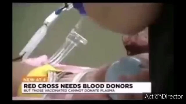 Croce Rossa - Vaccinati non possono donare plasma ai pazienti Covid