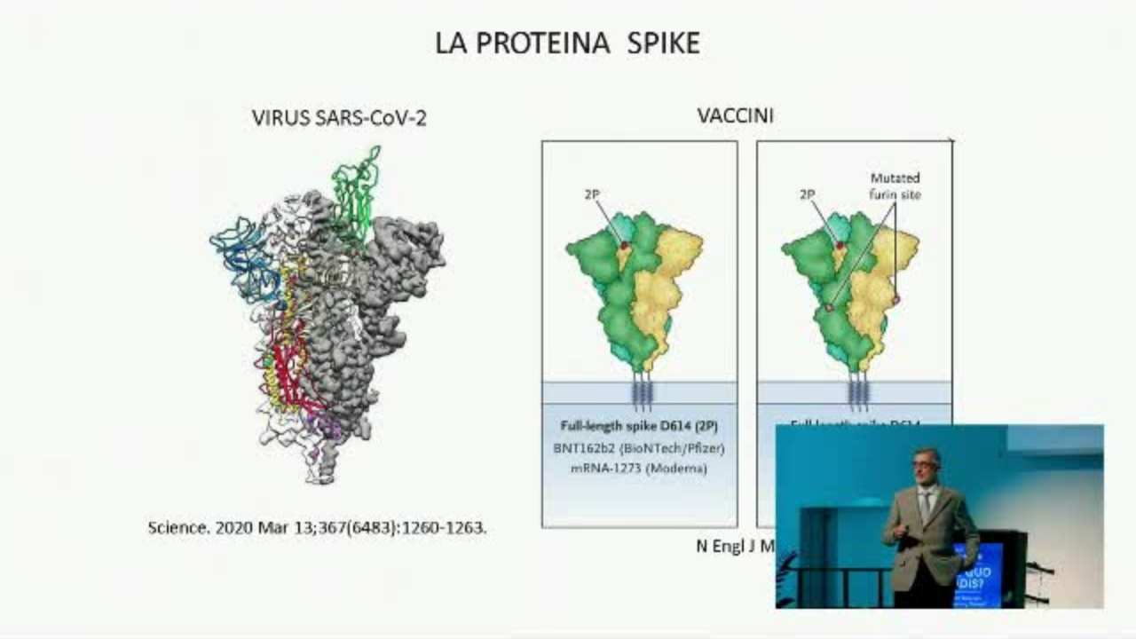 Prof. Paolo Bellavite - Conoscere meglio la proteina spike - Bolzano 10 novembre 2021