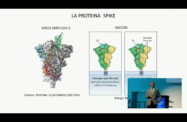 Prof. Paolo Bellavite - Conoscere meglio la proteina spike - Bolzano 10 novembre 2021