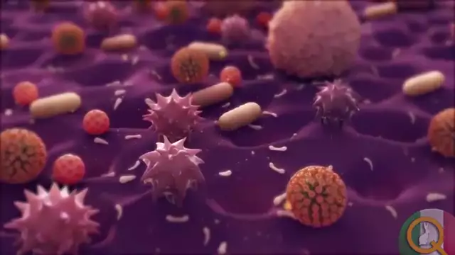 L'antidoto Universale - IL BIOSSIDO DI CLORO - annulla proteina spike dei vaccini